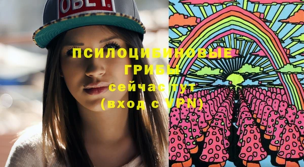 а пвп мука Медногорск